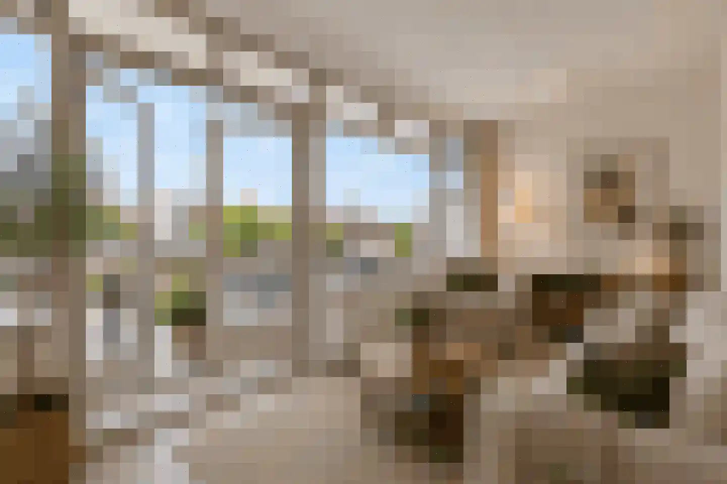 Oude Wal 39 B Hoogvliet Rotterdam thumbnail 10