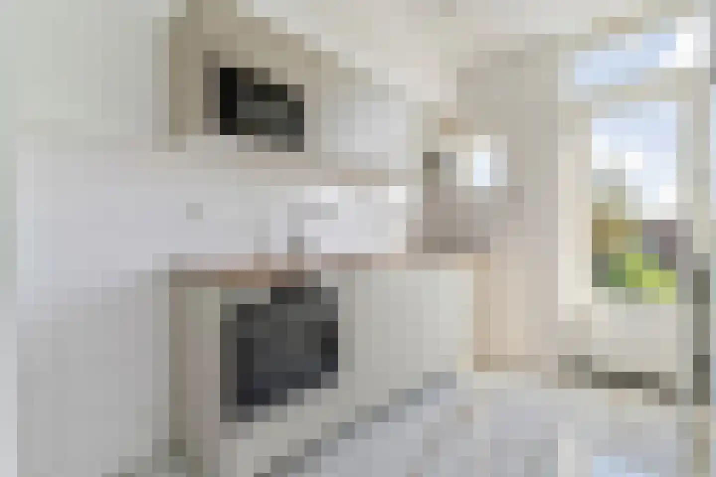 Oude Wal 39 B Hoogvliet Rotterdam thumbnail 14