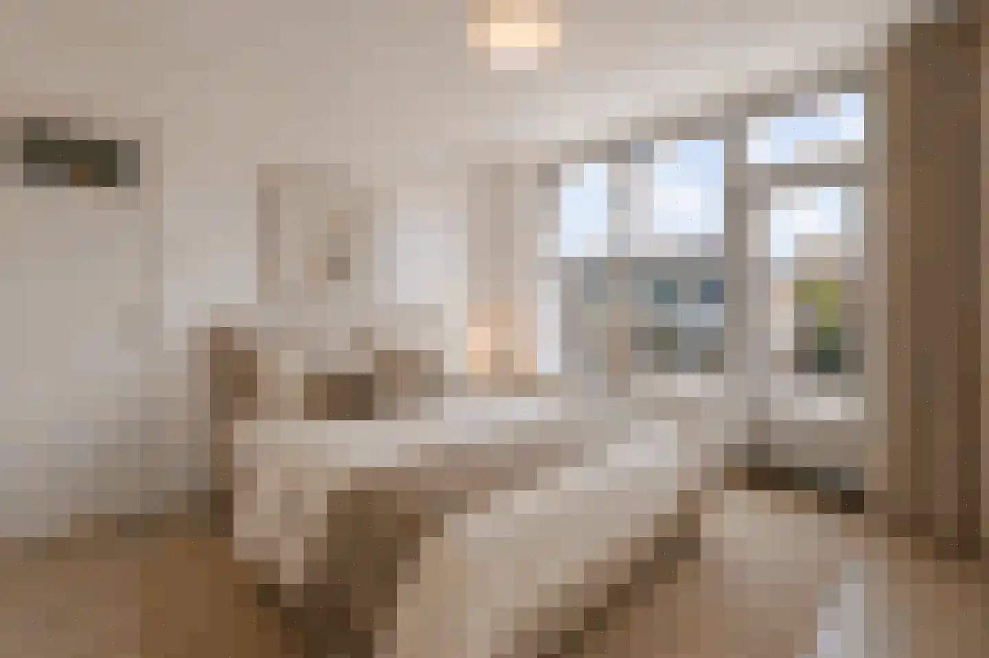 Oude Wal 39 B Hoogvliet Rotterdam thumbnail 23