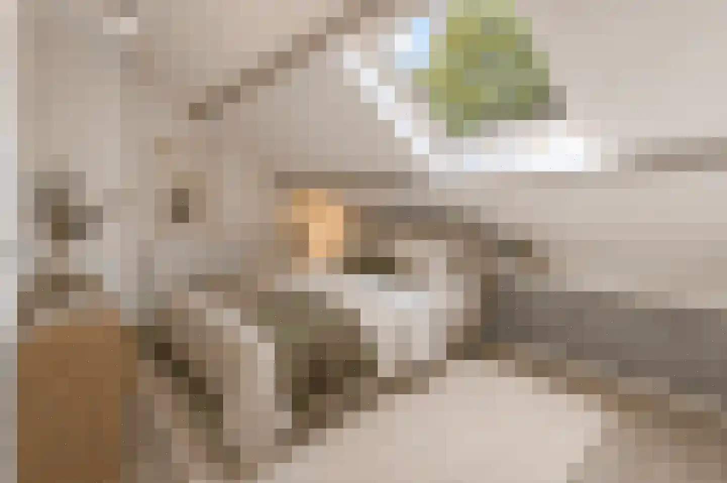 Oude Wal 39 B Hoogvliet Rotterdam thumbnail 34