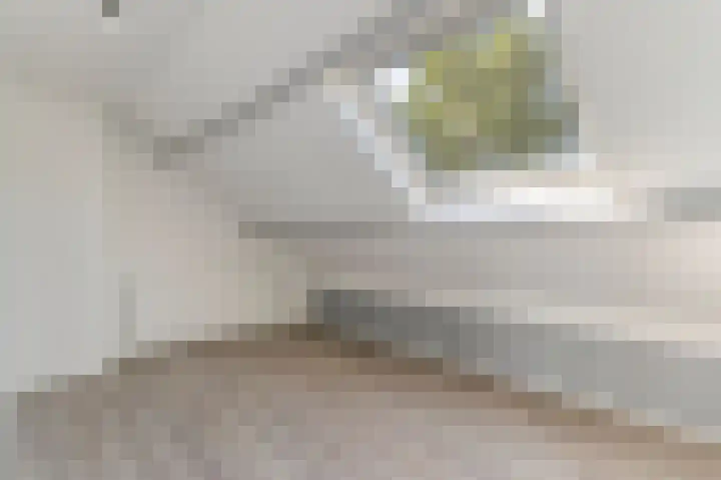 Oude Wal 39 B Hoogvliet Rotterdam thumbnail 35