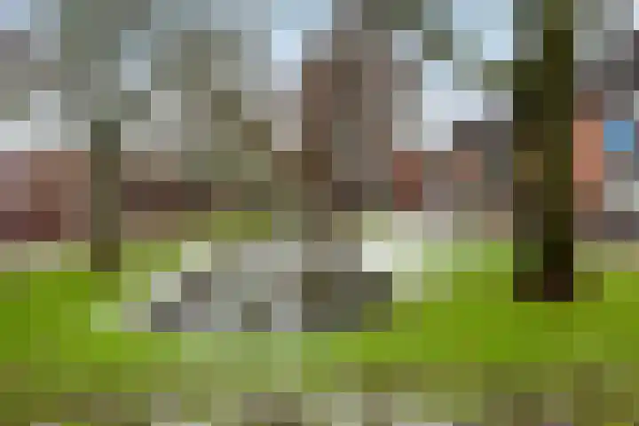 Oude Watering 211 Rotterdam thumbnail 35