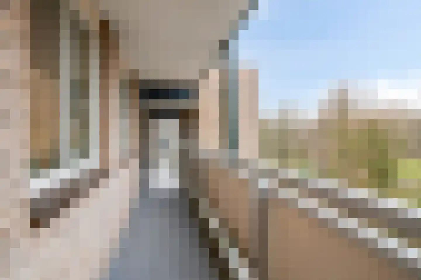 Oude Watering 259 Rotterdam thumbnail 8