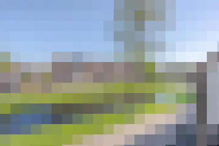 Oude Watering 360 Rotterdam thumbnail 26
