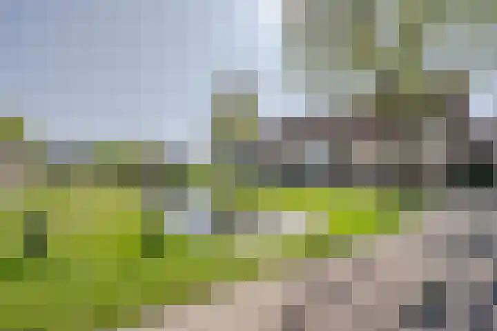 Oude Watering 360 Rotterdam thumbnail 32