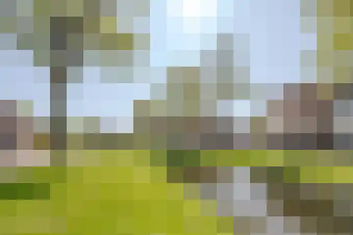 Oude Watering 360 Rotterdam thumbnail 34