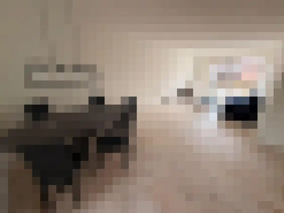 Oude Watering 360 Rotterdam thumbnail 6
