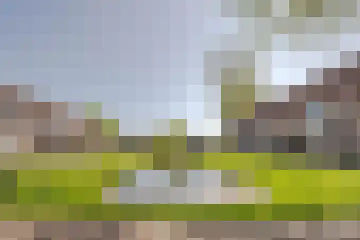 Oude Watering 360 Rotterdam thumbnail 6
