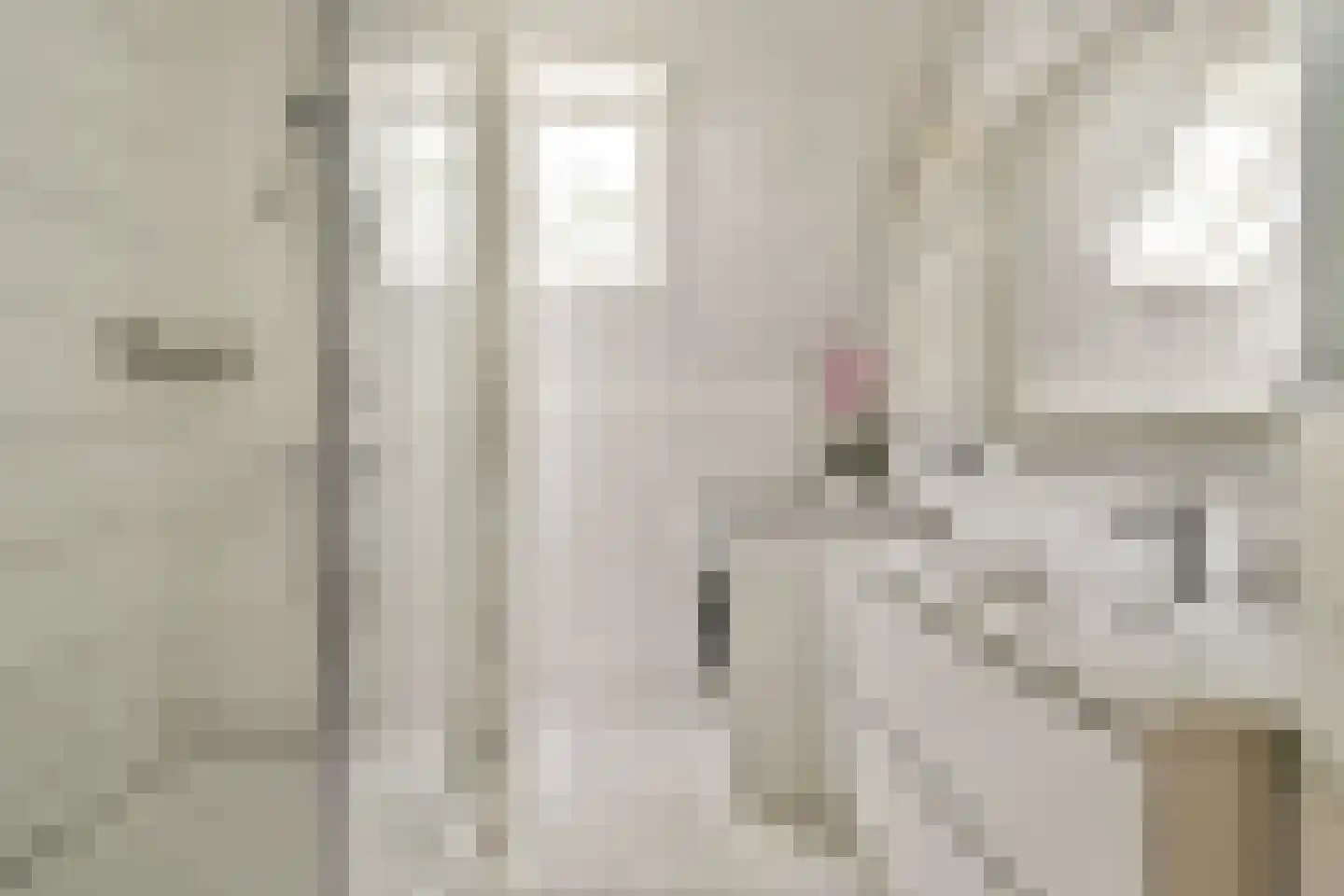 Oude Watering 368 Rotterdam thumbnail 9