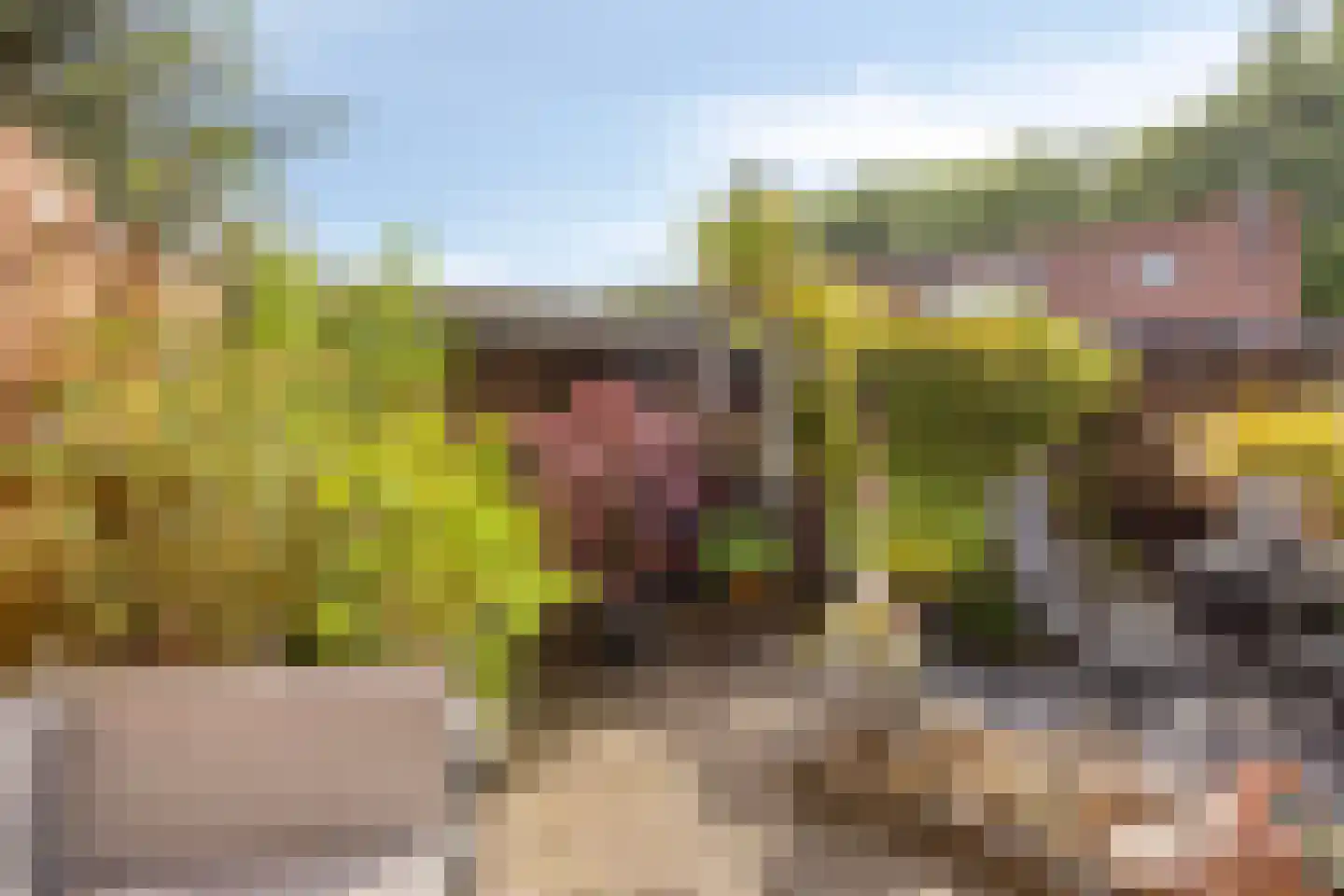 Oude Watering 378 Rotterdam thumbnail 27