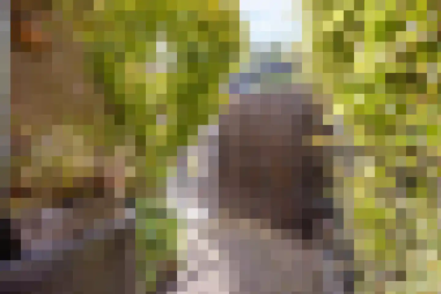 Oude Watering 378 Rotterdam thumbnail 30