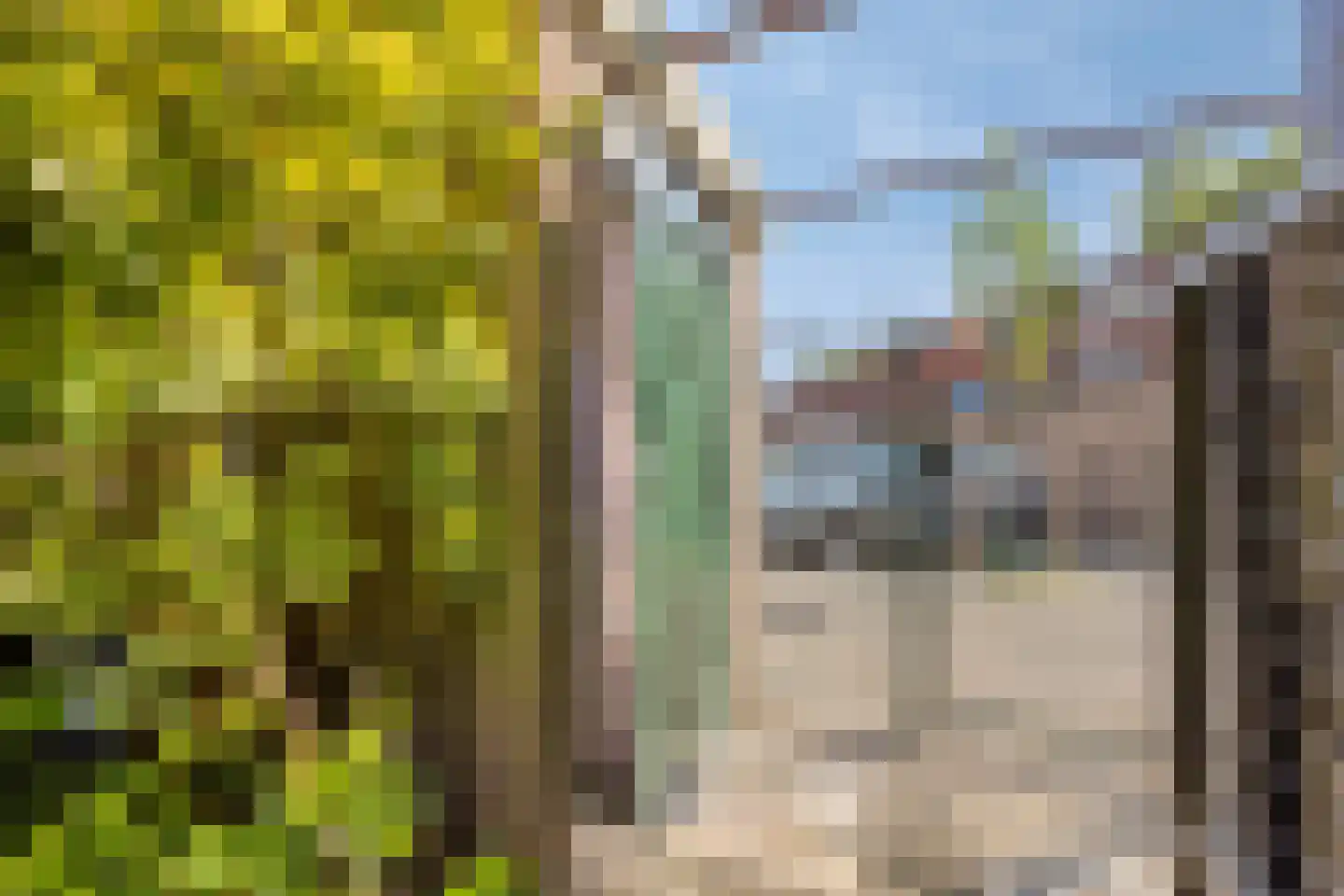 Oude Watering 378 Rotterdam thumbnail 31