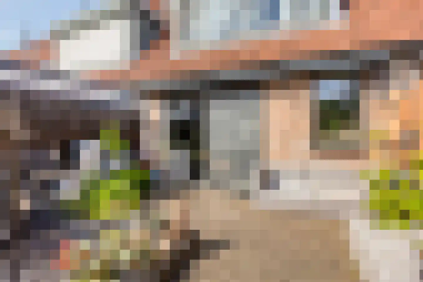 Oude Watering 378 Rotterdam thumbnail 33