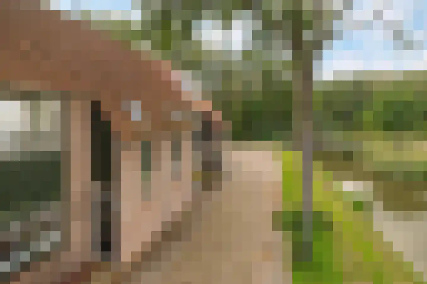 Oude Watering 386 Rotterdam thumbnail 27