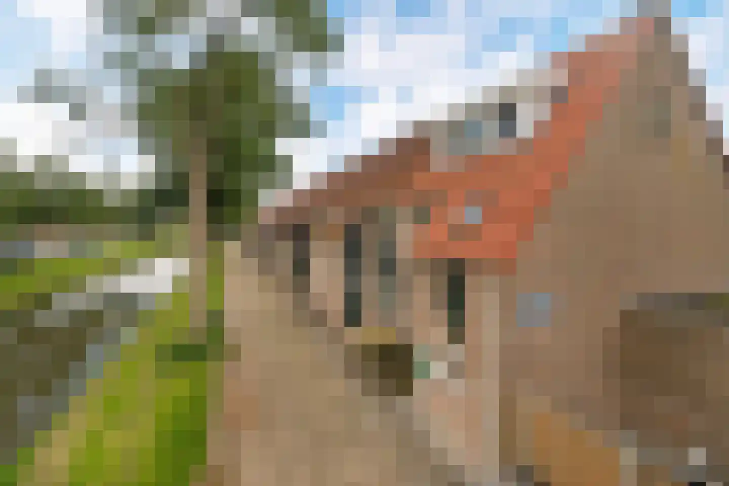 Oude Watering 386 Rotterdam thumbnail 29
