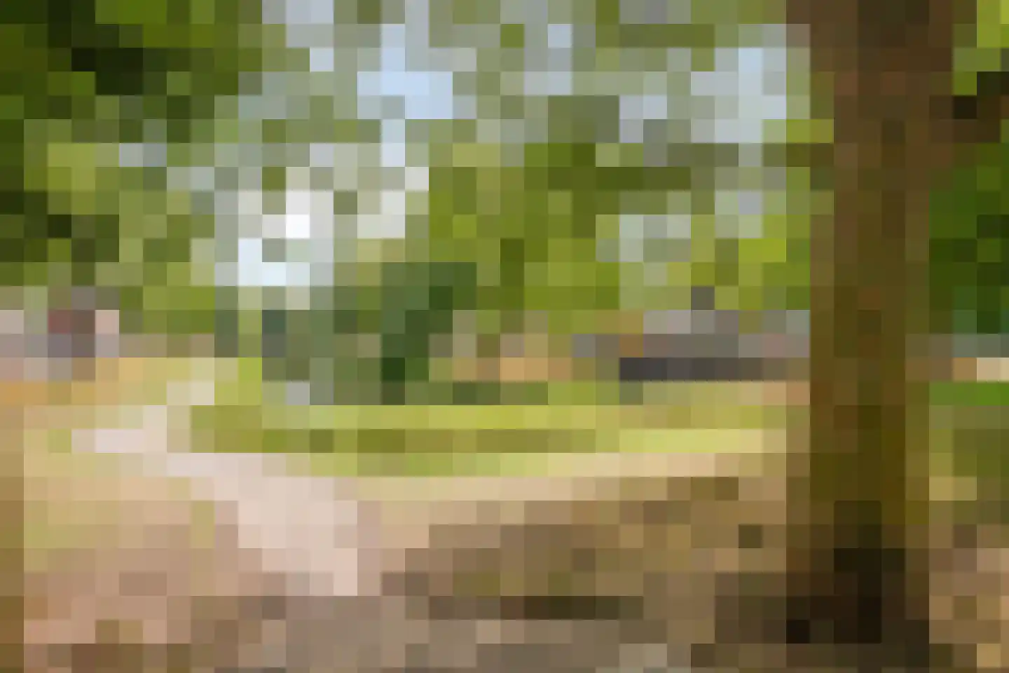 Oude Wed 18 Zutphen thumbnail 26