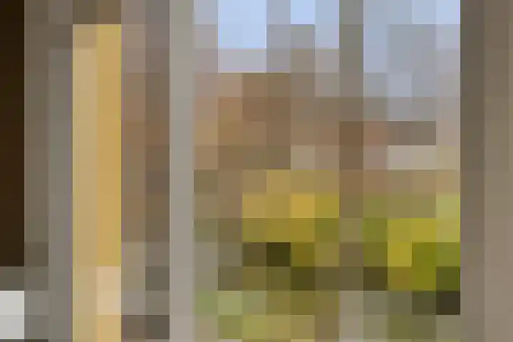 Oude Wed 2 a Zutphen thumbnail 22