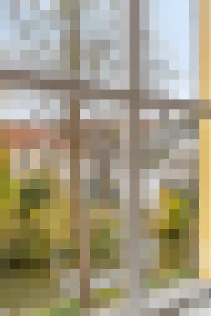 Oude Wed 2 a Zutphen thumbnail 26