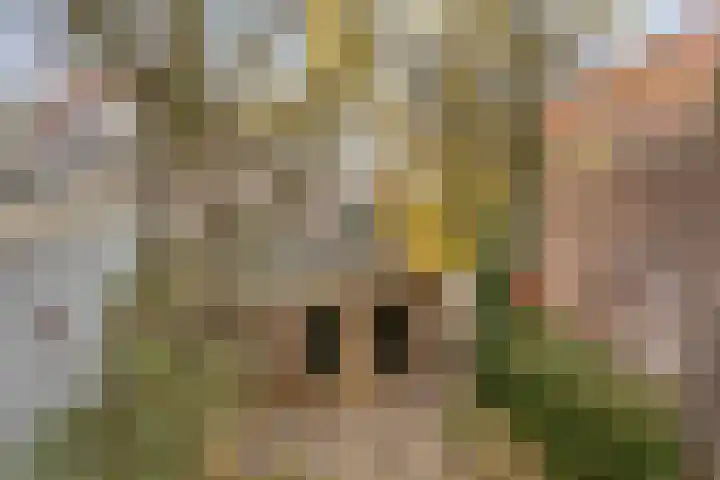 Oude Wed 2 a Zutphen thumbnail 29