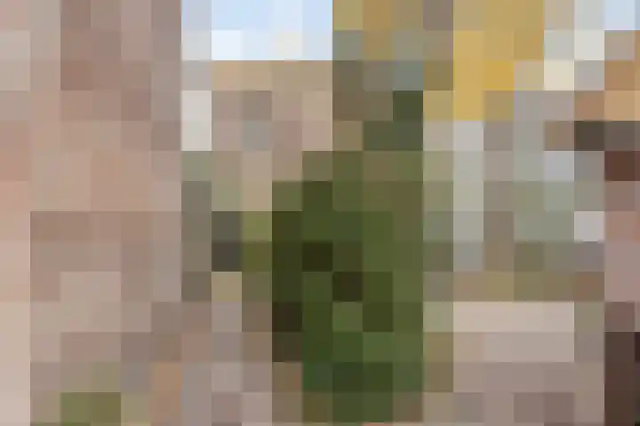 Oude Wed 2 a Zutphen thumbnail 32