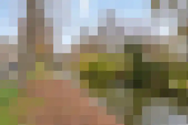 Oude Wed 2 a Zutphen thumbnail 35
