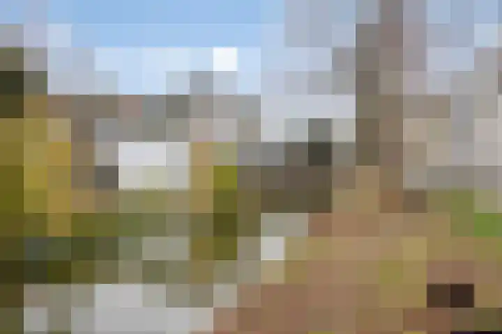 Oude Wed 2 a Zutphen thumbnail 36