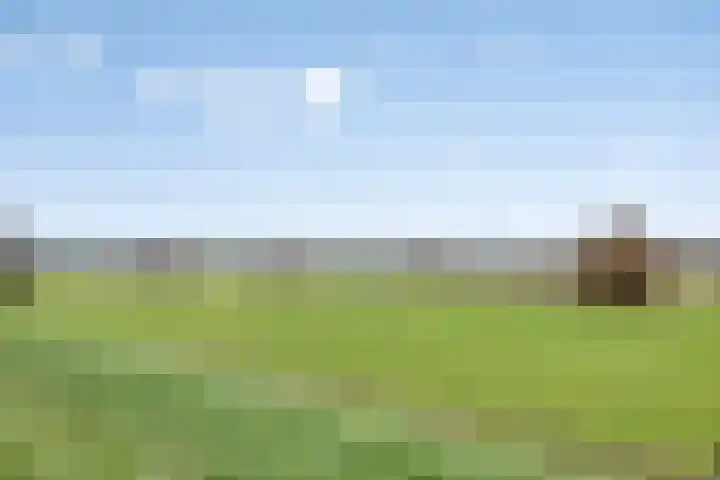 Oude Wed 2 a Zutphen thumbnail 40