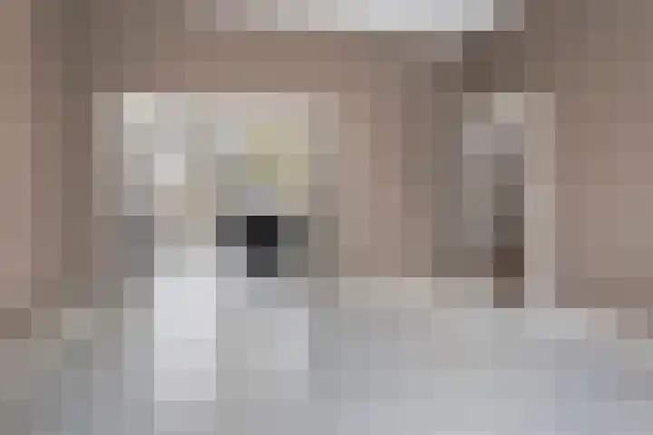 Oude Wed 2 a Zutphen thumbnail 7