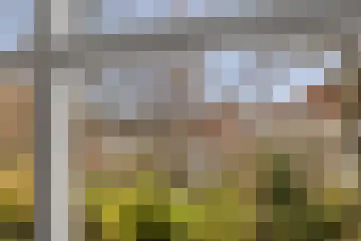 Oude Wed 2 a Zutphen thumbnail 8