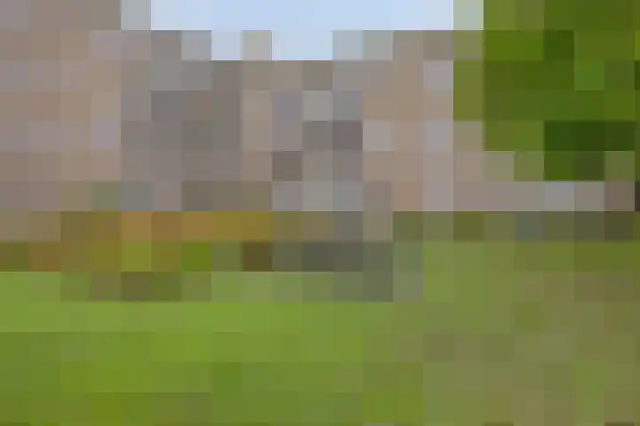 Oude Wed 23 Zutphen thumbnail 25