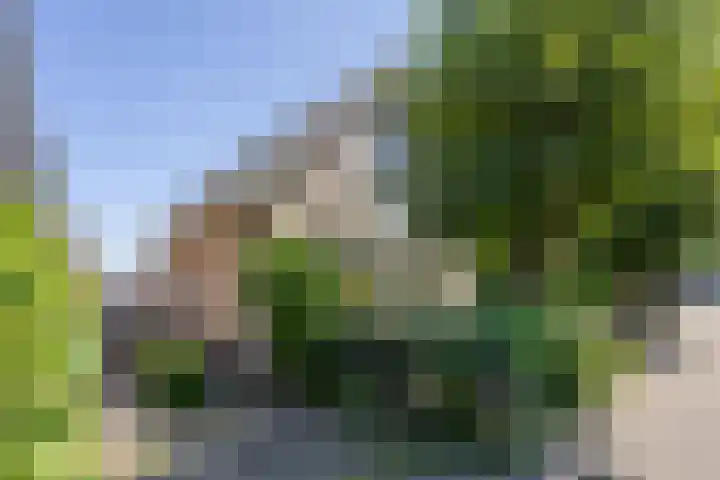 Oude Weerlaan 49 Hillegom thumbnail 10