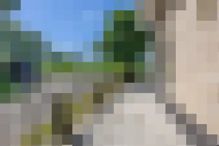 Oude Weerlaan 49 Hillegom thumbnail 41