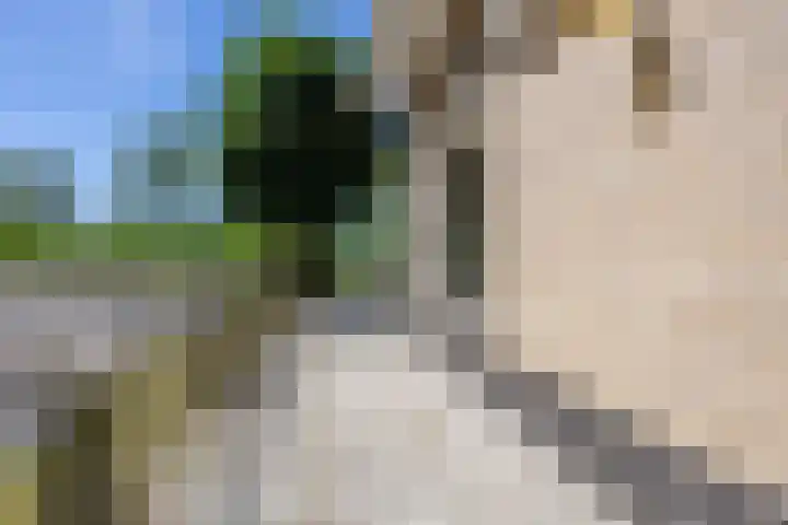 Oude Weerlaan 49 Hillegom thumbnail 42