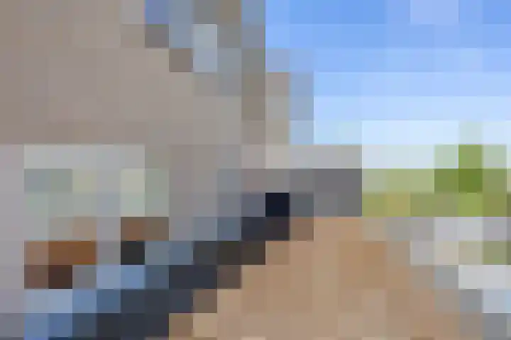 Oude Weerlaan 49 Hillegom thumbnail 44