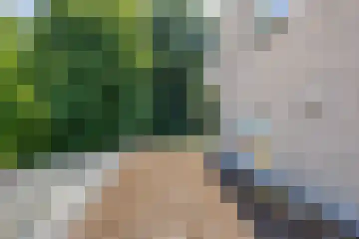 Oude Weerlaan 49 Hillegom thumbnail 45