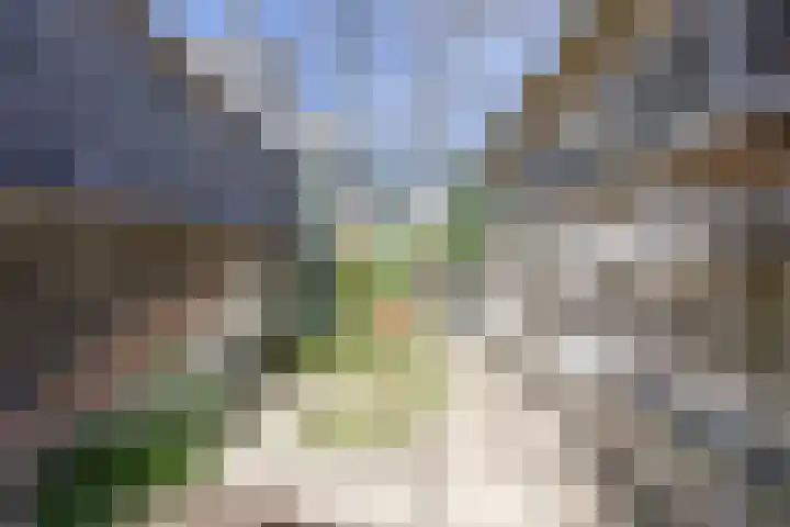 Oude Weerlaan 49 Hillegom thumbnail 49