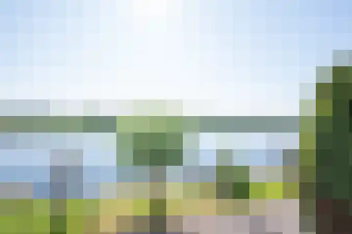 Oude Weerlaan 75 Hillegom thumbnail 29
