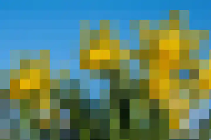 Oude Weerlaan 75 Hillegom thumbnail 30
