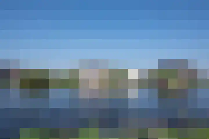 Oude Weerlaan 75 Hillegom thumbnail 32