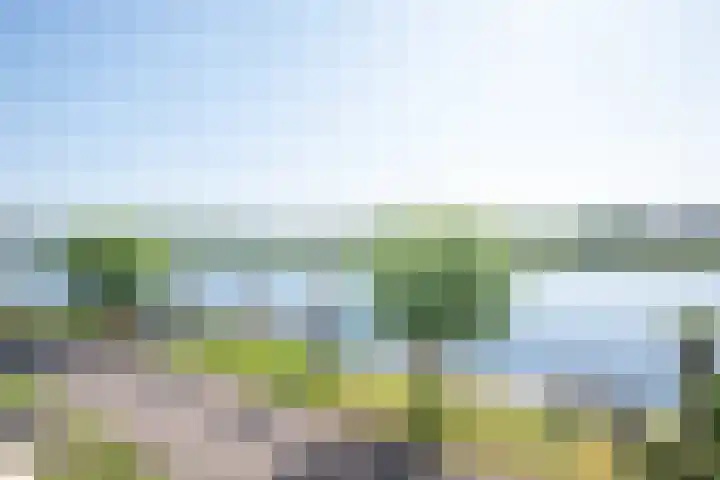 Oude Weerlaan 75 Hillegom thumbnail 34