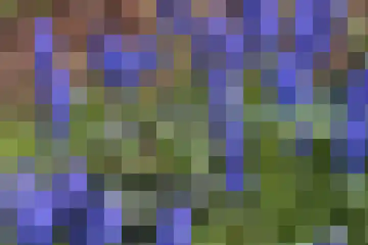 Oude Weerlaan 75 Hillegom thumbnail 6