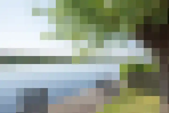Oude Weerlaan 75 Hillegom thumbnail 7