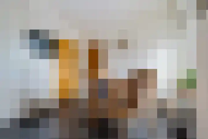 Oude Weg 30 Ter Apel thumbnail 105