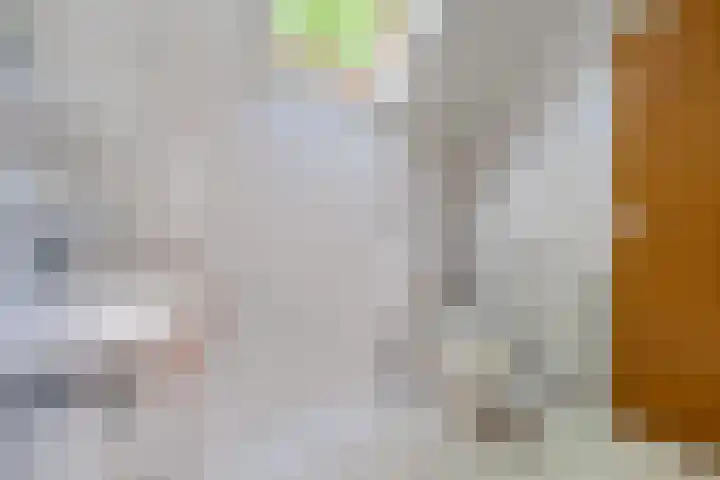 Oude Weg 30 Ter Apel thumbnail 123