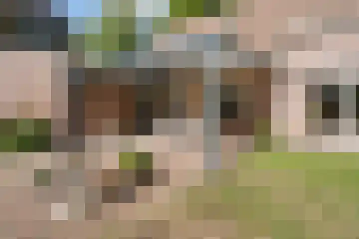 Oude Weg 30 Ter Apel thumbnail 135