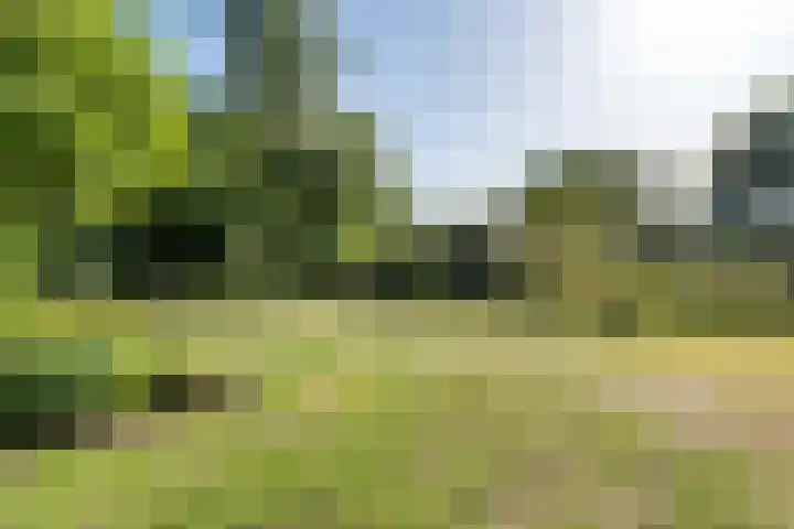 Oude Weg 30 Ter Apel thumbnail 136