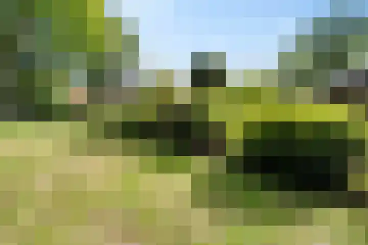 Oude Weg 30 Ter Apel thumbnail 4
