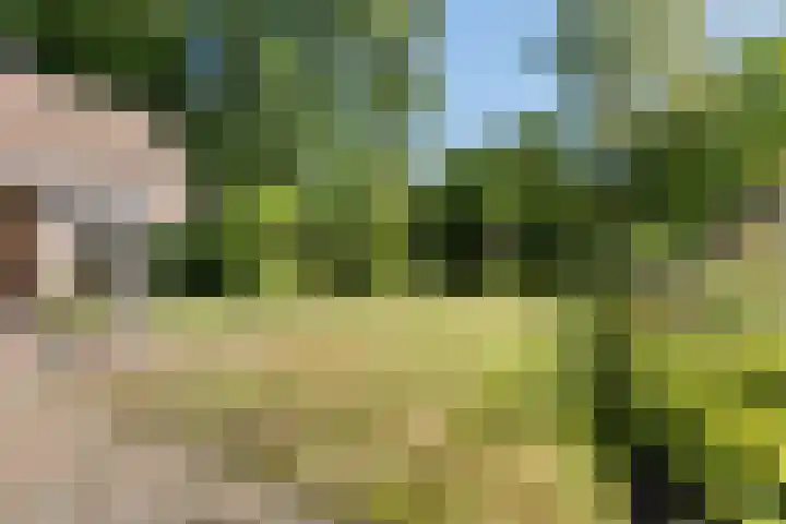 Oude Weg 30 Ter Apel thumbnail 45