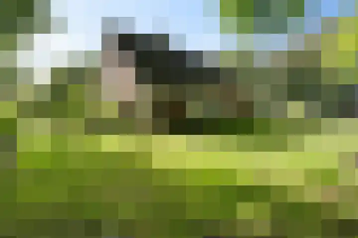 Oude Weg 30 Ter Apel thumbnail 5