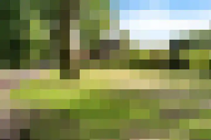Oude Weg 30 Ter Apel thumbnail 54